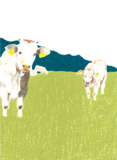 Applaus Verlag Bilder Alpenbuch 01