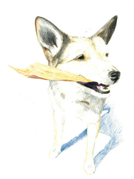 Applaus Verlag Bilder Alpenbuch 04