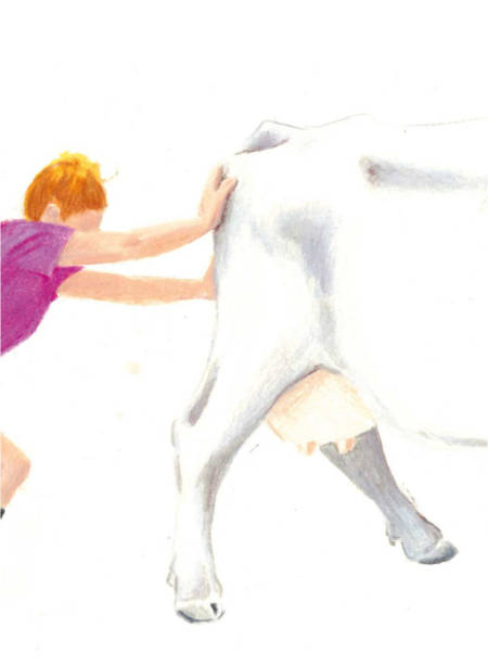 Applaus Verlag Bilder Alpenbuch 05