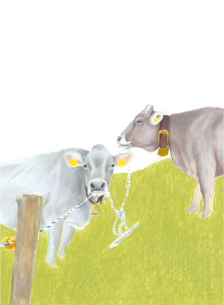 Applaus Verlag Bilder Alpenbuch 07