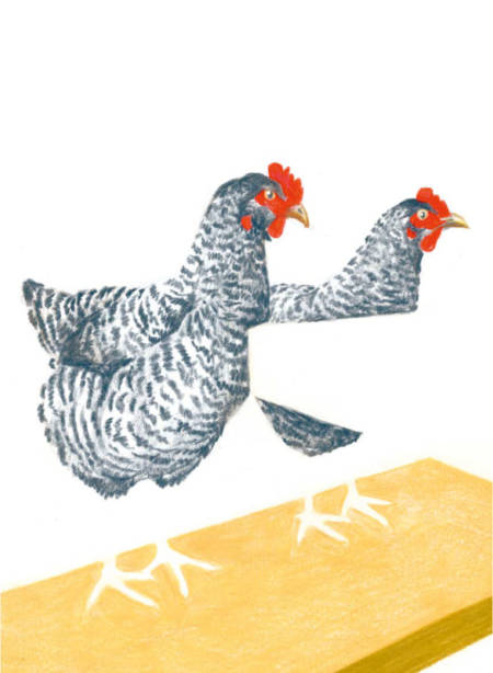 Applaus Verlag Bilder Alpenbuch 08