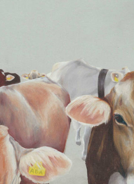 Applaus Verlag Bilder Alpenbuch 09